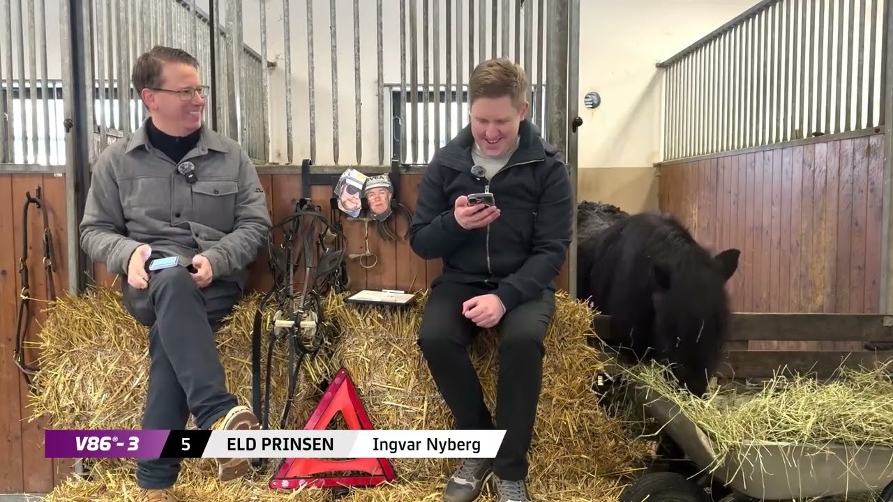 8-Oikein vihjevideo keskiviikon 86-kierrokselle 11.2.