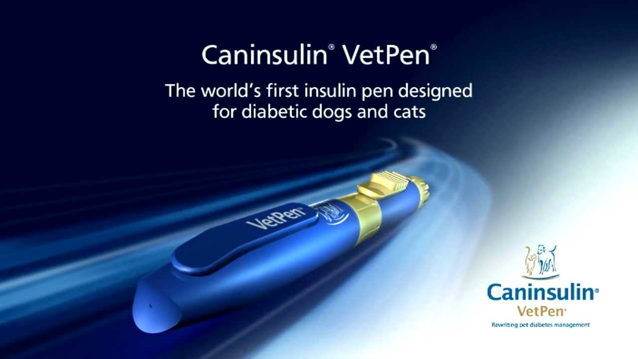 How to use Caninsulin VetPen