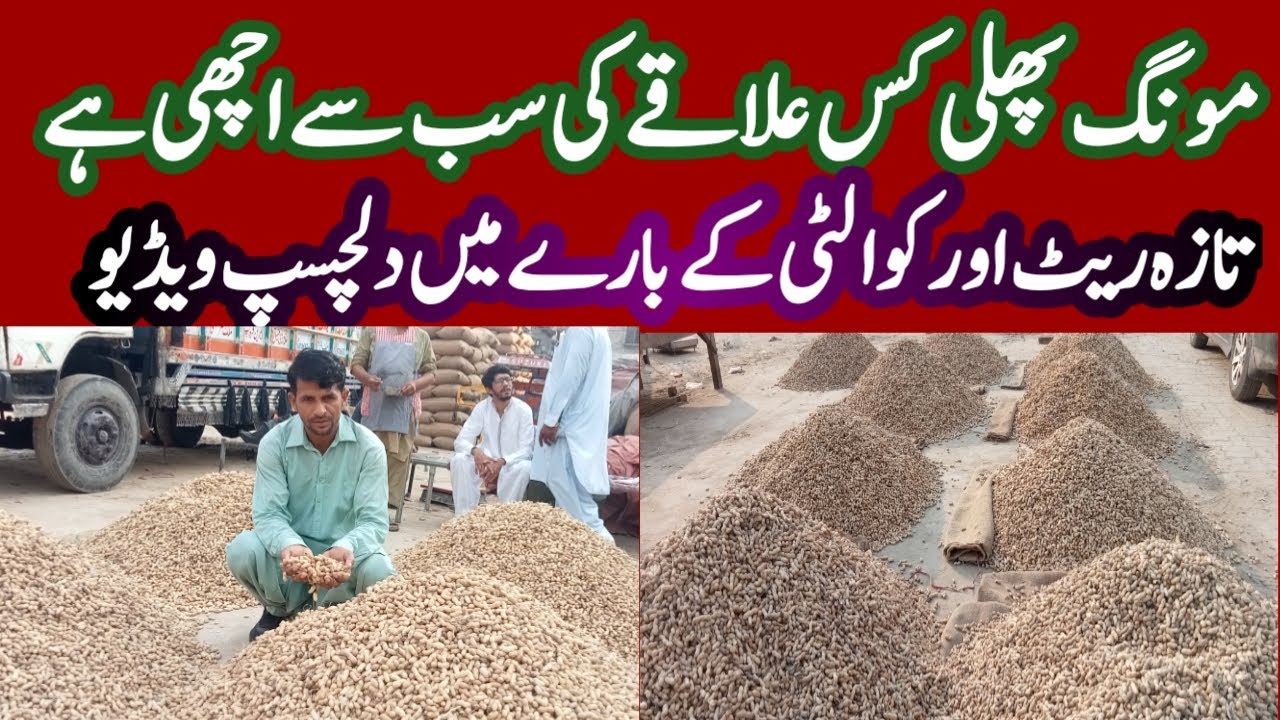 Monghfali ki sab s bari market|fresh rates in market.