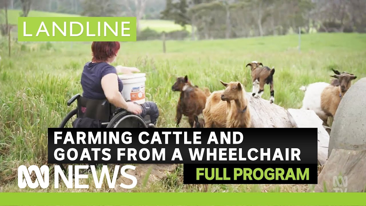 Cowgirl on wheels, growing tea on the Sunshine coast, and an outback postie | Landline full program