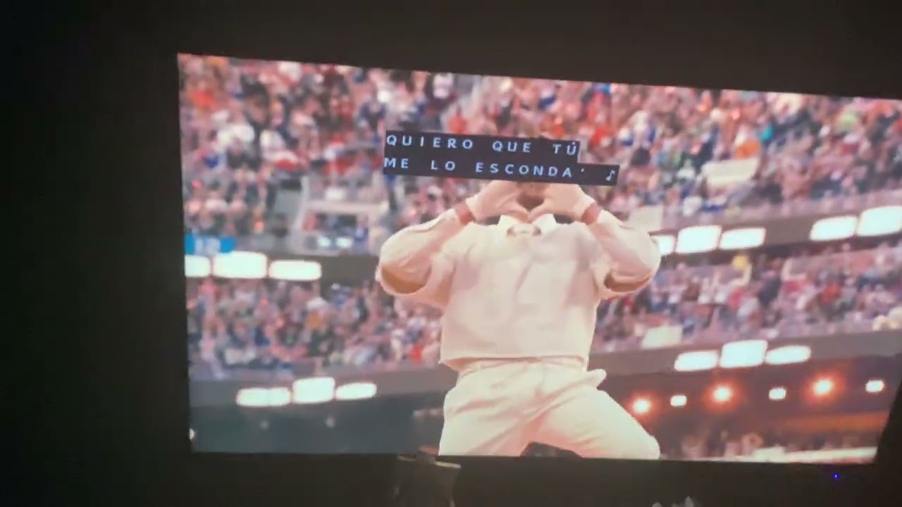 Bad bunny Pt 1 I think..