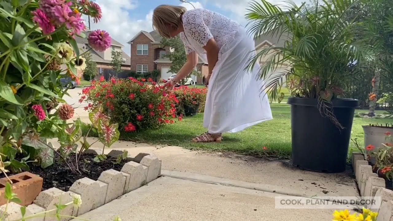 Home Garden Tour | Home Garden | Flowers Collections |🌺 Homemaking with Idania