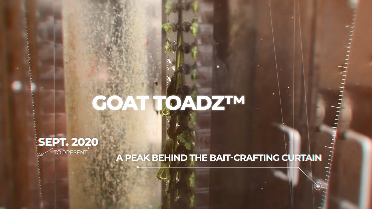 Crafting the GOAT ToadZ