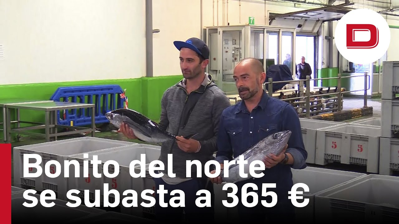 El primer bonito del norte se subasta a un precio récord de 369 euros el kilo