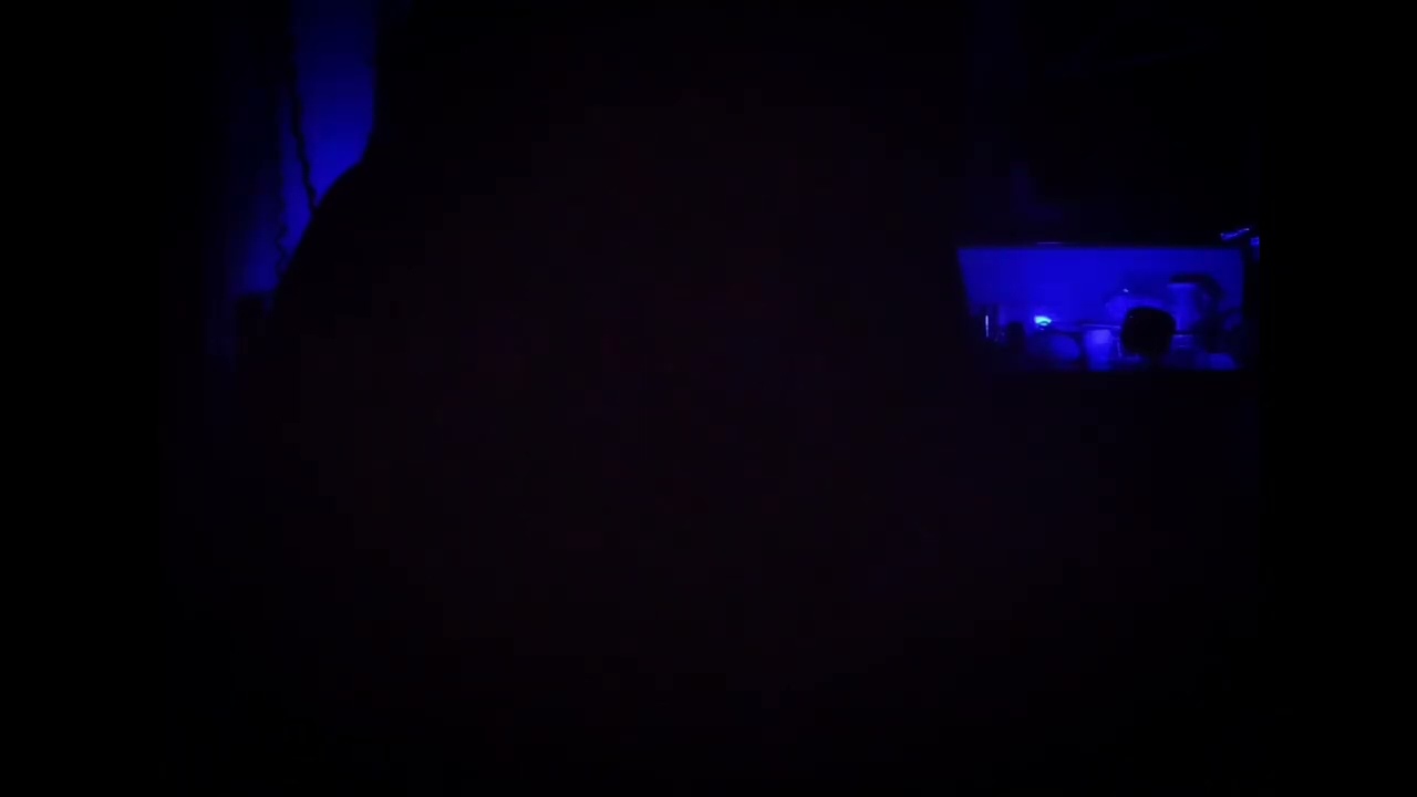 Sara Mclocghin: Angel(Cover) 