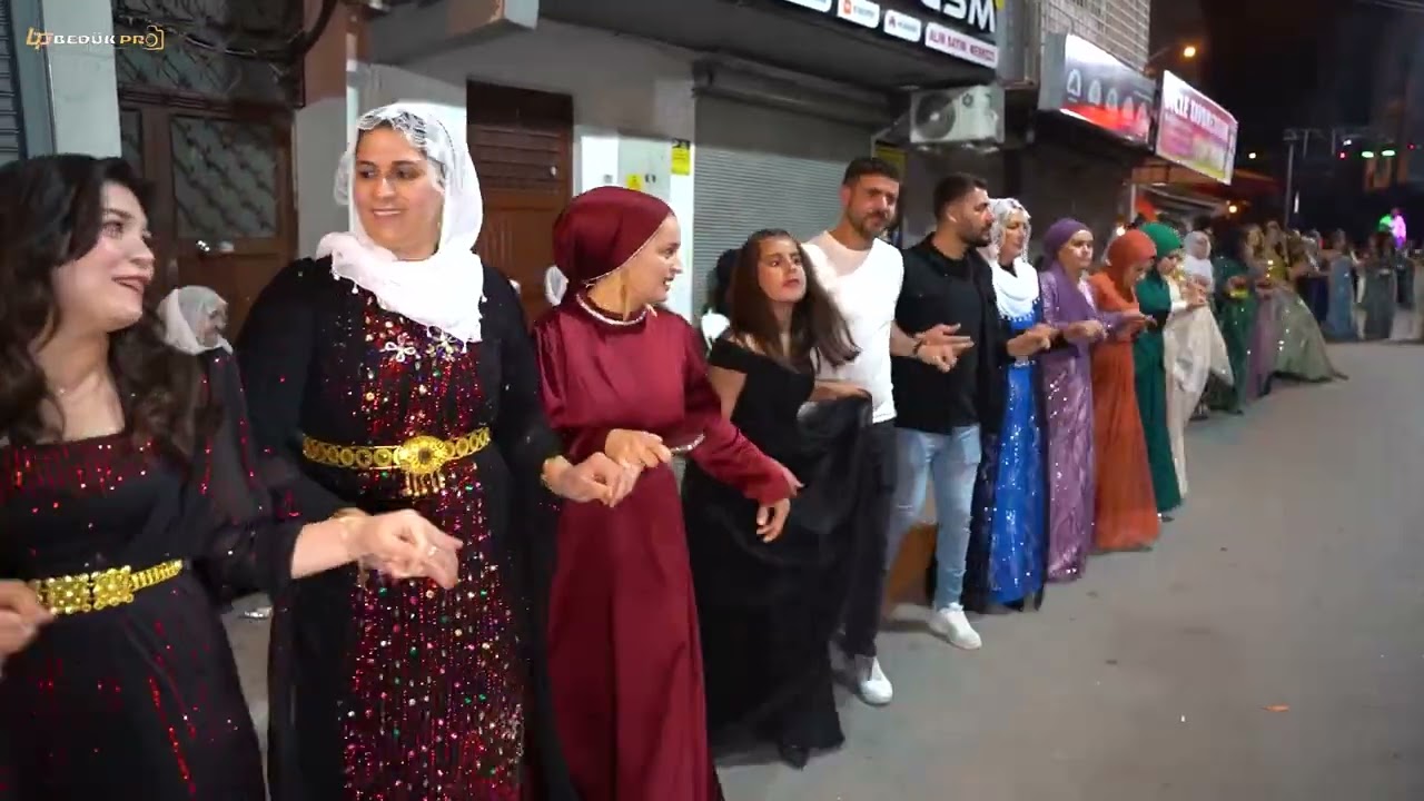 KOMA MİR - Strana - ŞEMZİNA  Segavi 2025