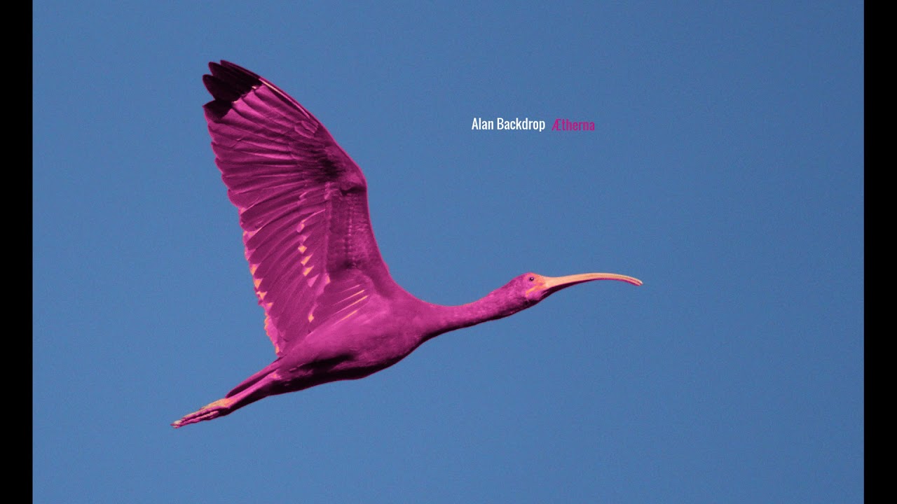 Alan Backdrop - Invisible Line