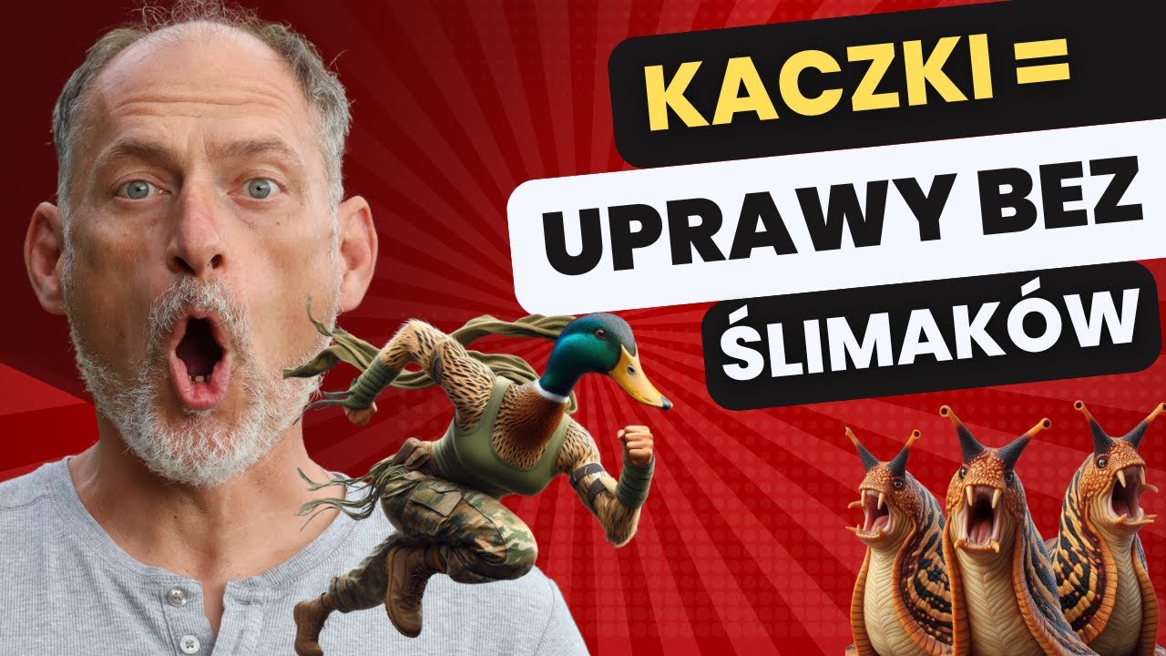 🦆 Kaczki biegusy - I NIE MA ŚLIMAKÓW 🦆🔥🔥