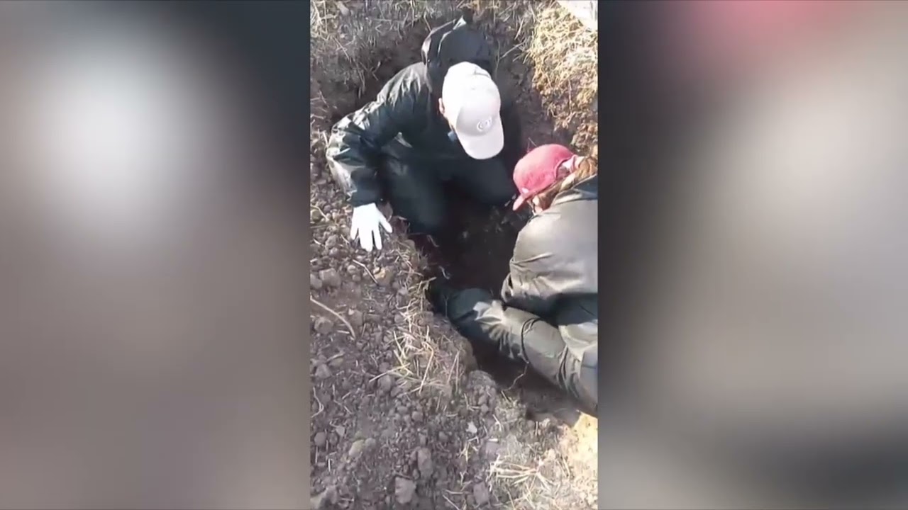 Guerra Entre Cárteles Genera Más Violencia En Guanajuato | Meganoticias León