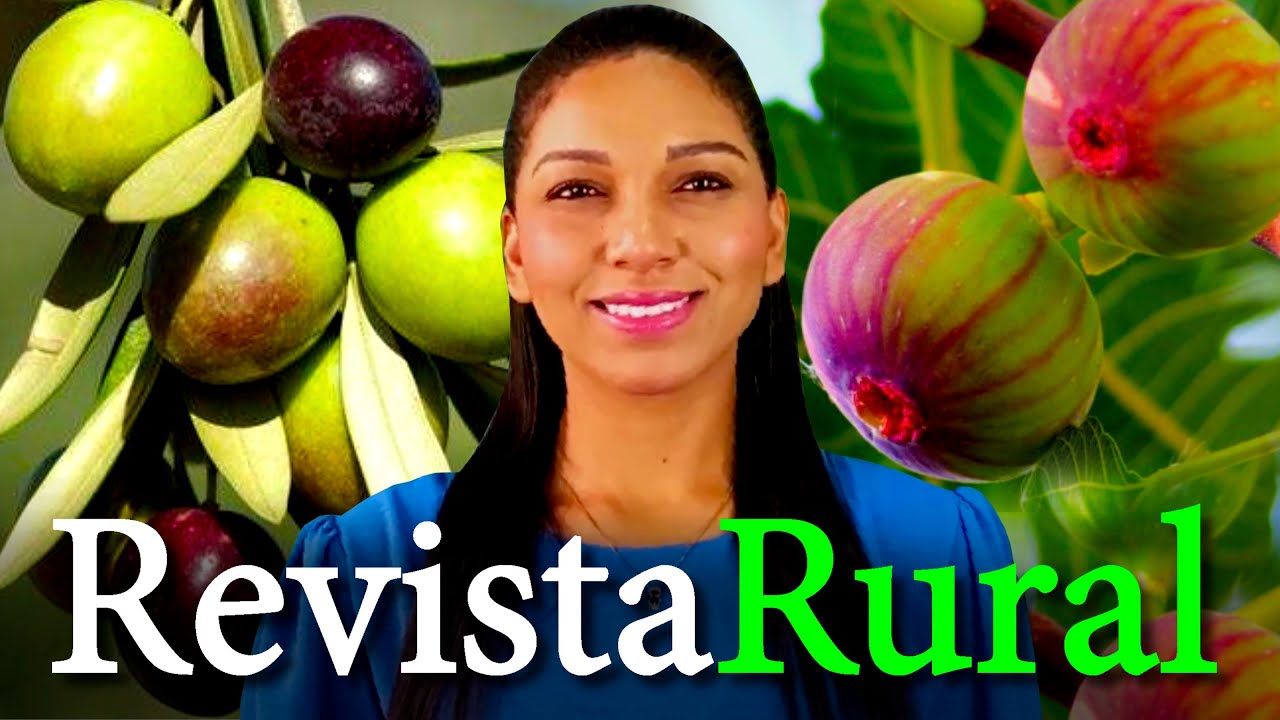 PROGRAMA REVISTA RURAL - 08/12/2024