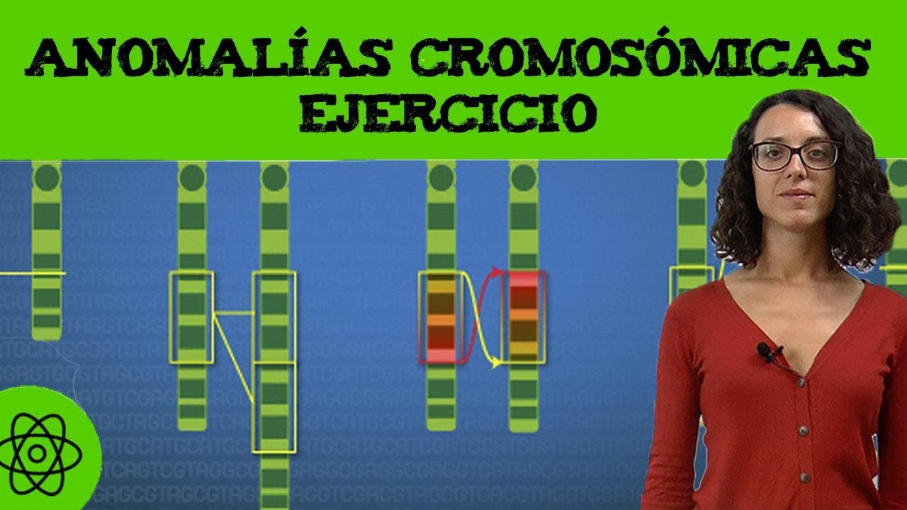 Ejercicio de anomalías cromosómicas 🧬 translocación (I)