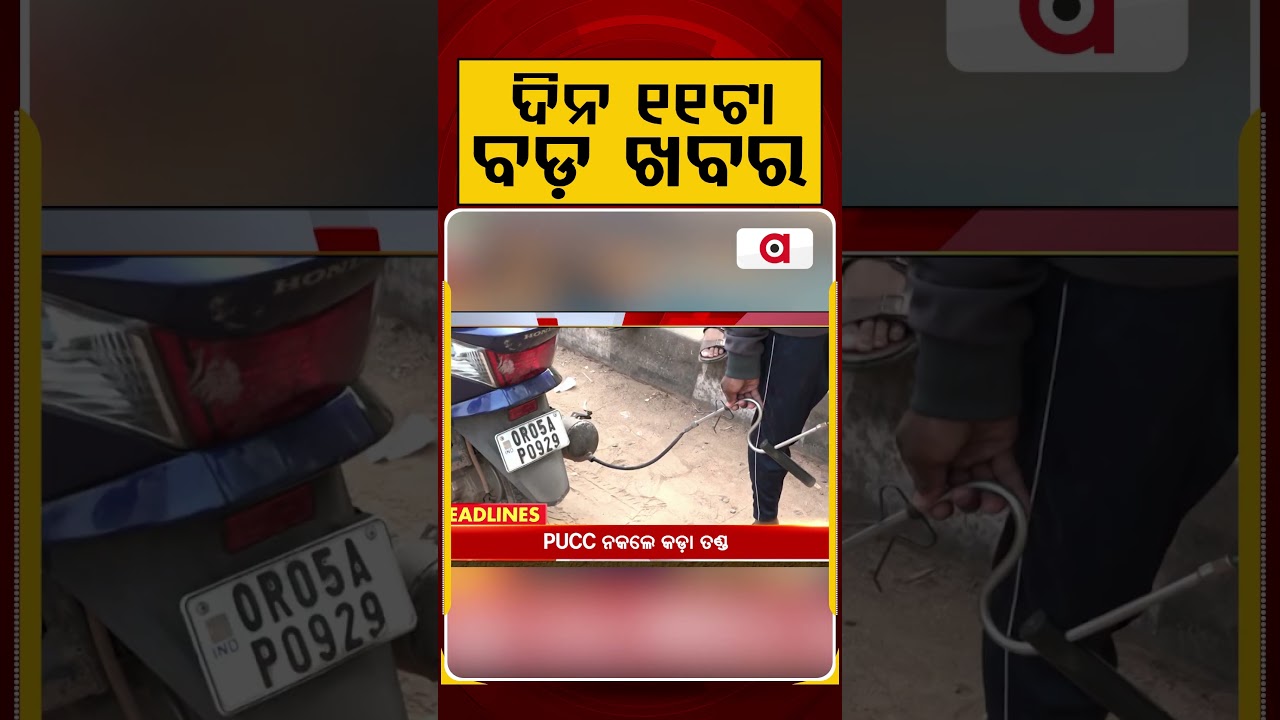 ଦିନ ୧୧ଟା ବଡ଼ ଖବର | 11AM Headlines | Today Top News | Big Breaking | Latest Update | Argus News