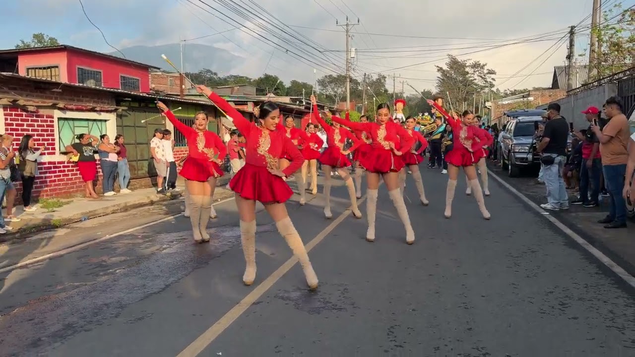 Tiburones  Music Band 2026