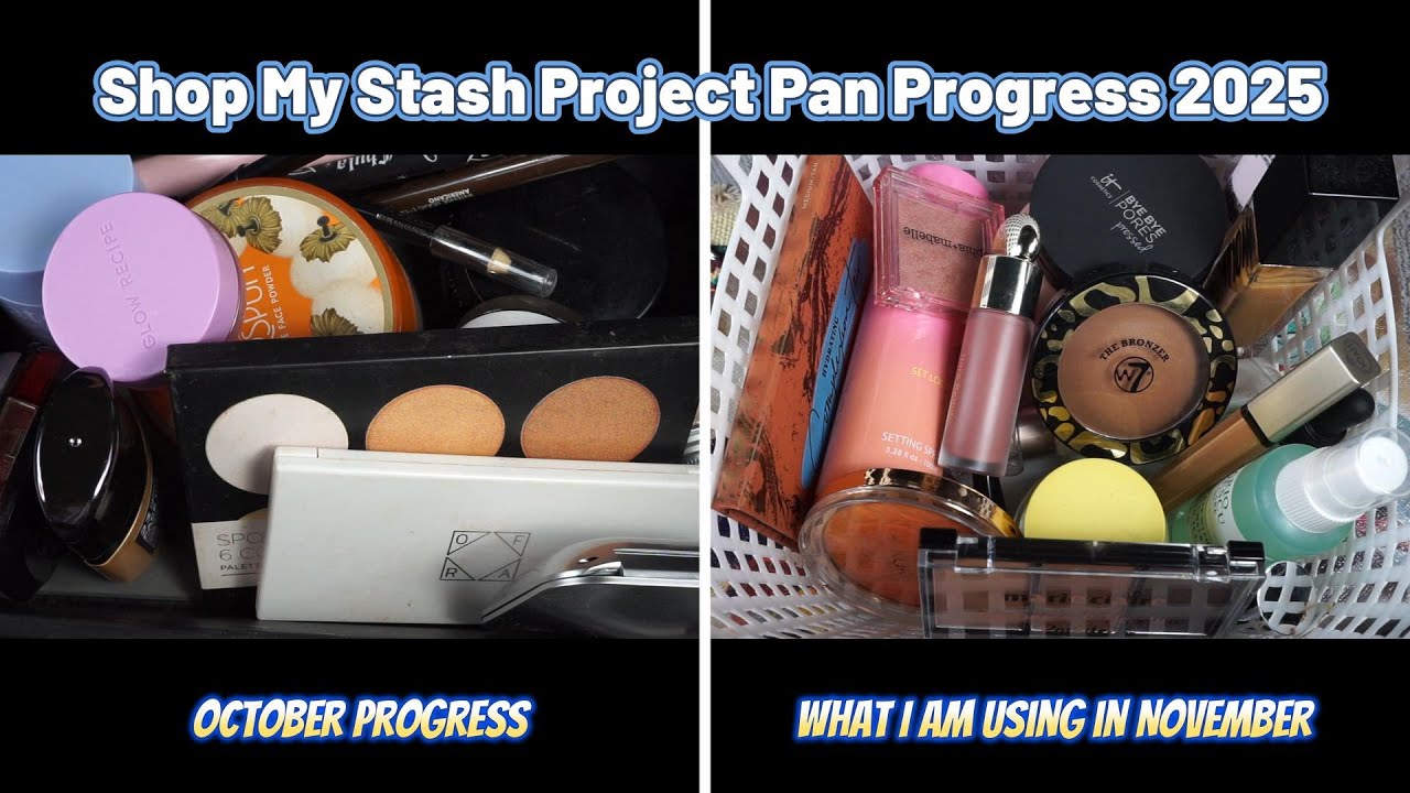 SHOP MY STASH PROJECT PAN PROGRESS 2025 OCT - NOV CNUTBUTRBEAUTY