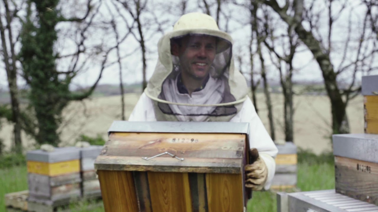 Portrait d’Olivier, apiculteur Compagnon dans le Tarn et ambassadeur du miel Crémeux de France.