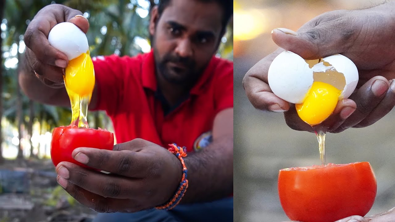 Tomato Egg | Full Tomato Egg Gravy | World Food Tube