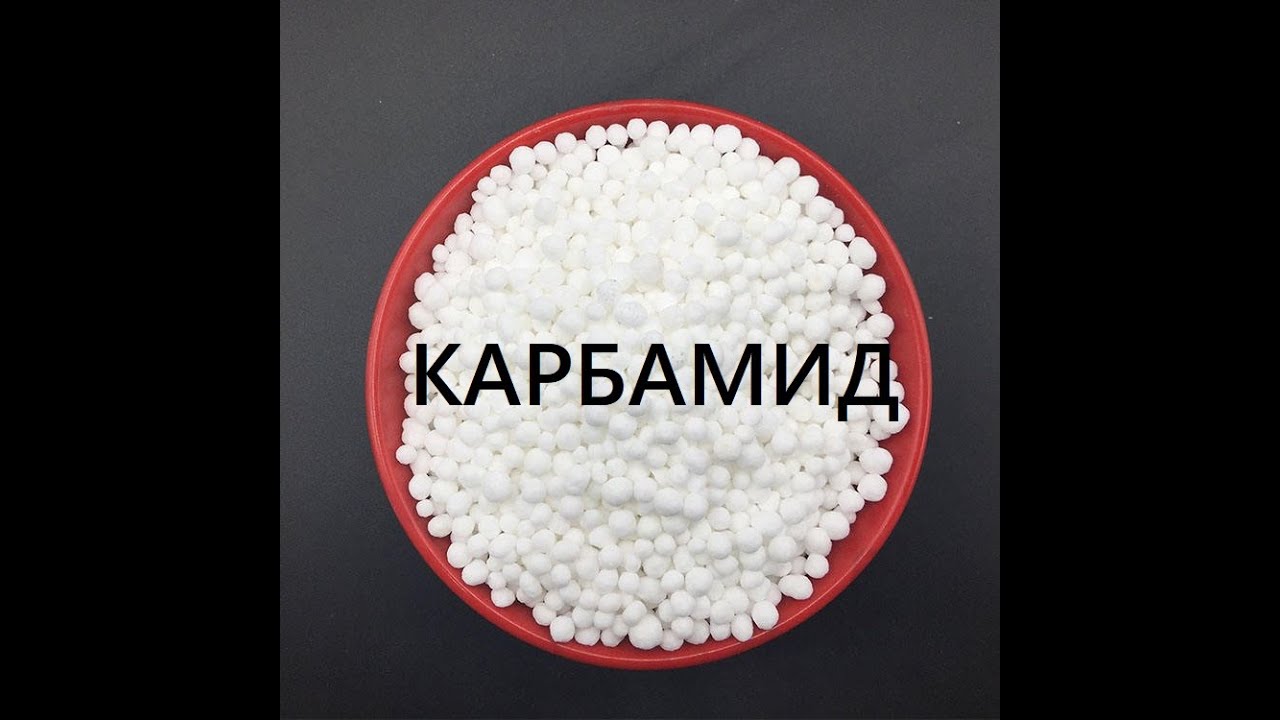 МОЧЕВИНА (КАРБАМИД) - хорошее азотное удобрение. Когда, как и почему