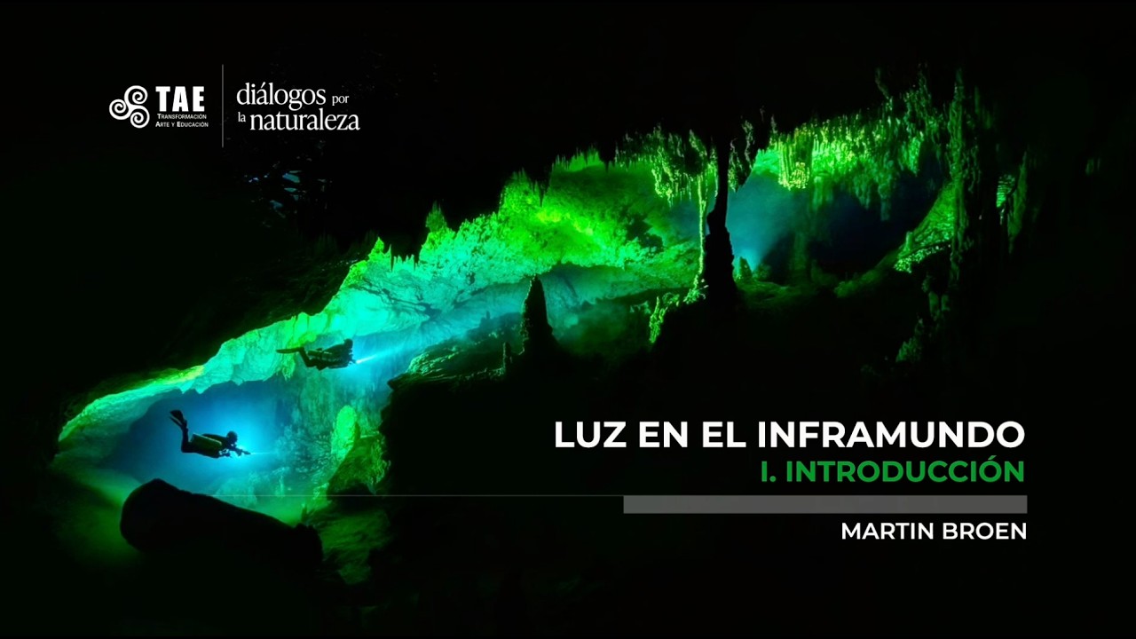 Diálogos por la naturaleza //  Luz en el inframundo 