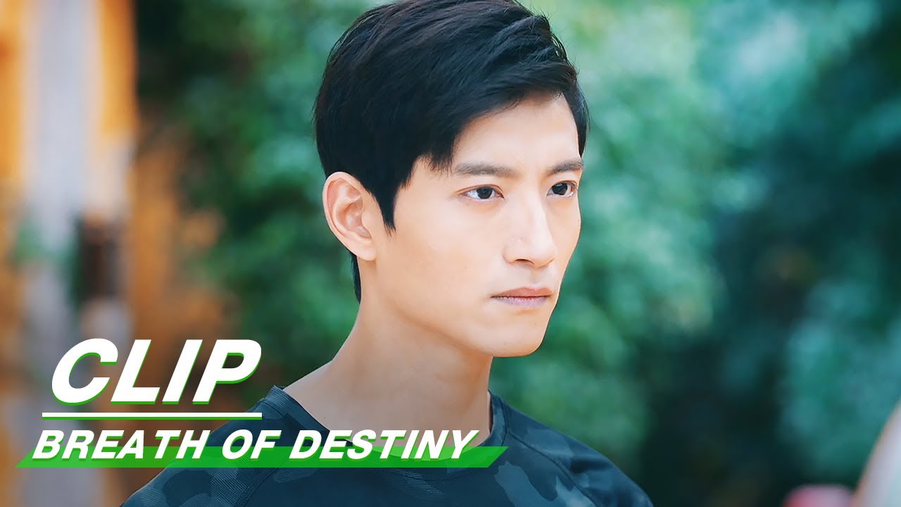 Clip: Tony Yang, Johnny Zhang & Archie Kao Argue For A Girl | Breath of Destiny EP33 | 一起深呼吸 | iQiyi