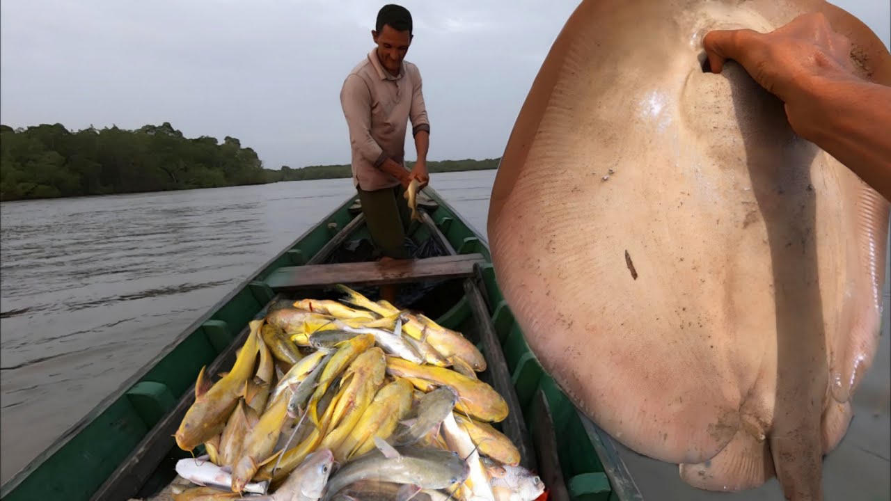 AVENTURA EM ALTO MAR - PESCARIA DE ESPINHEL, ESSA FOI TOP