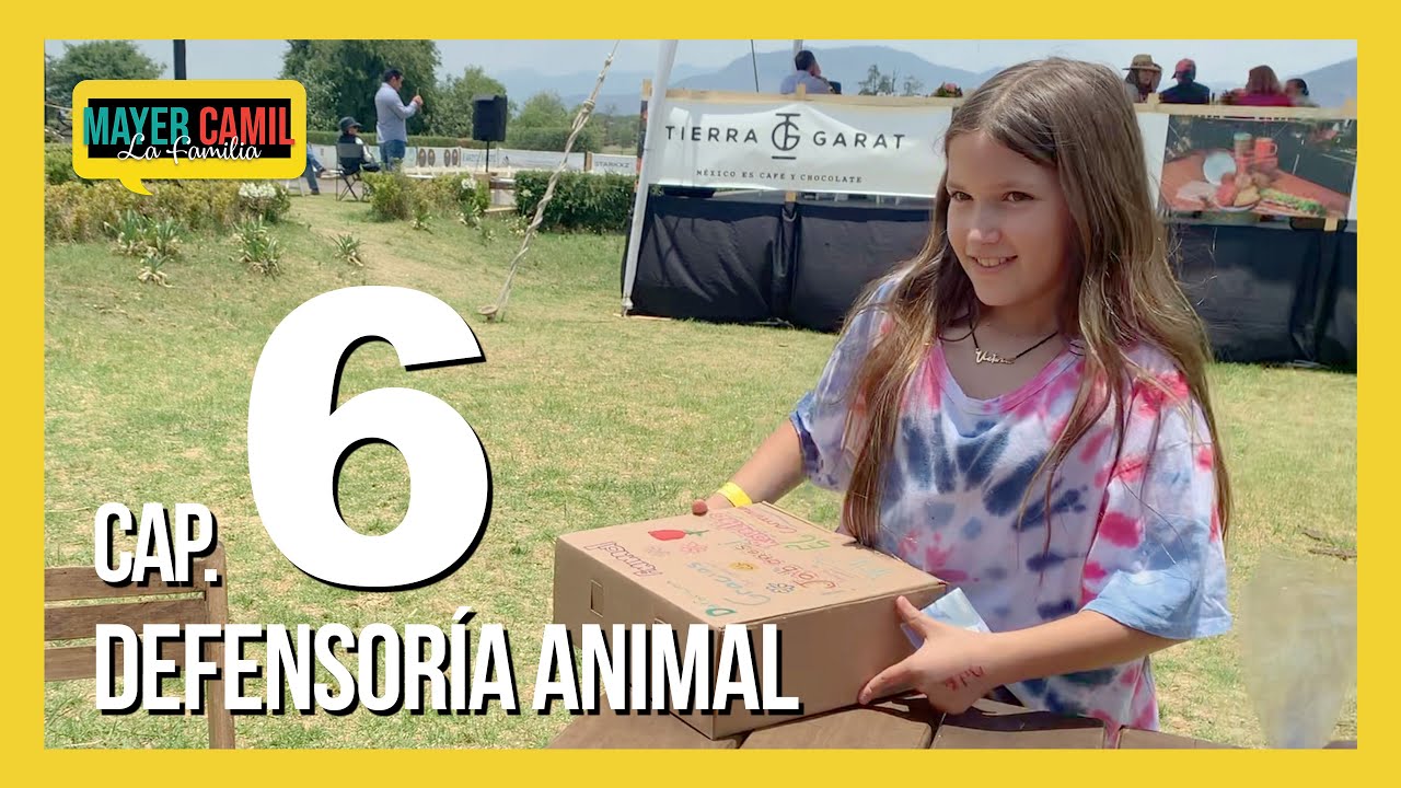 Capítulo 6: Defensoría Animal