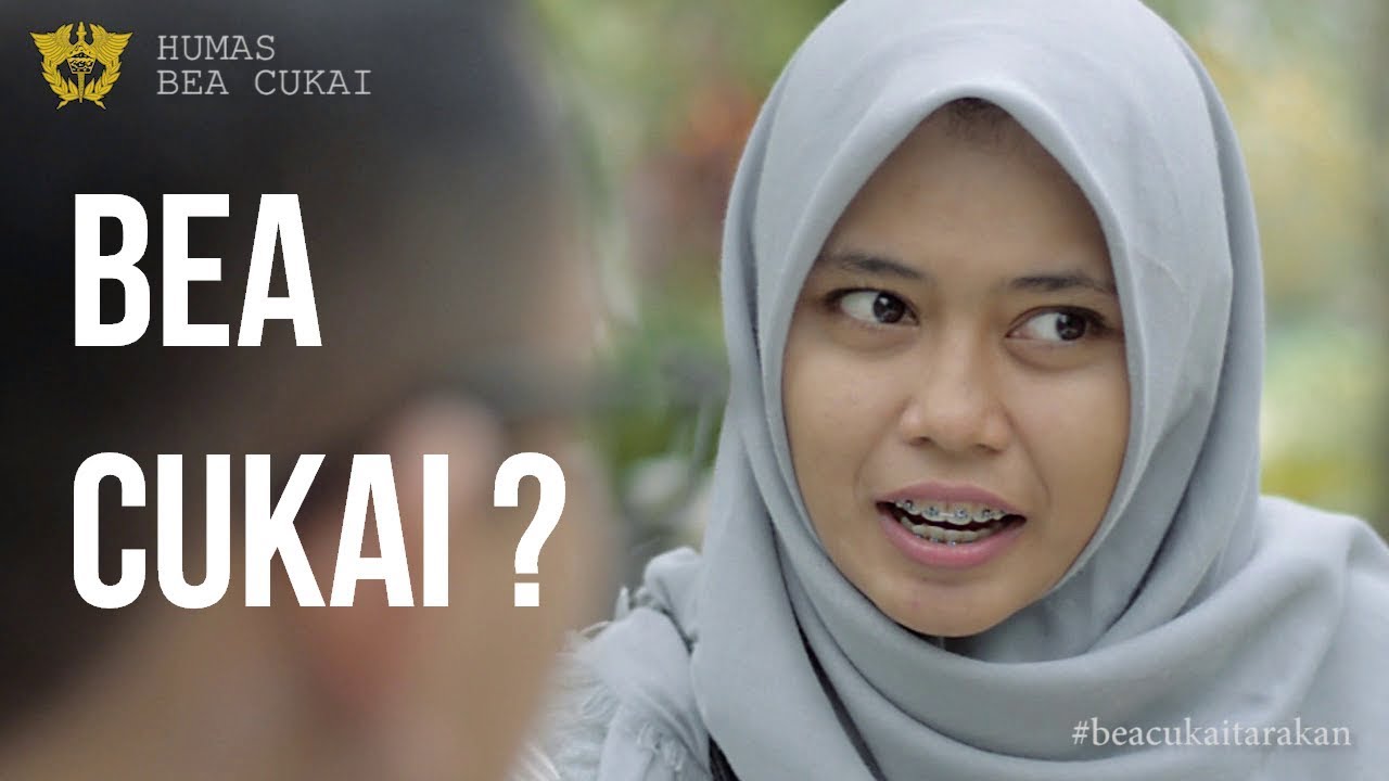 BEA CUKAI itu apa sih ?