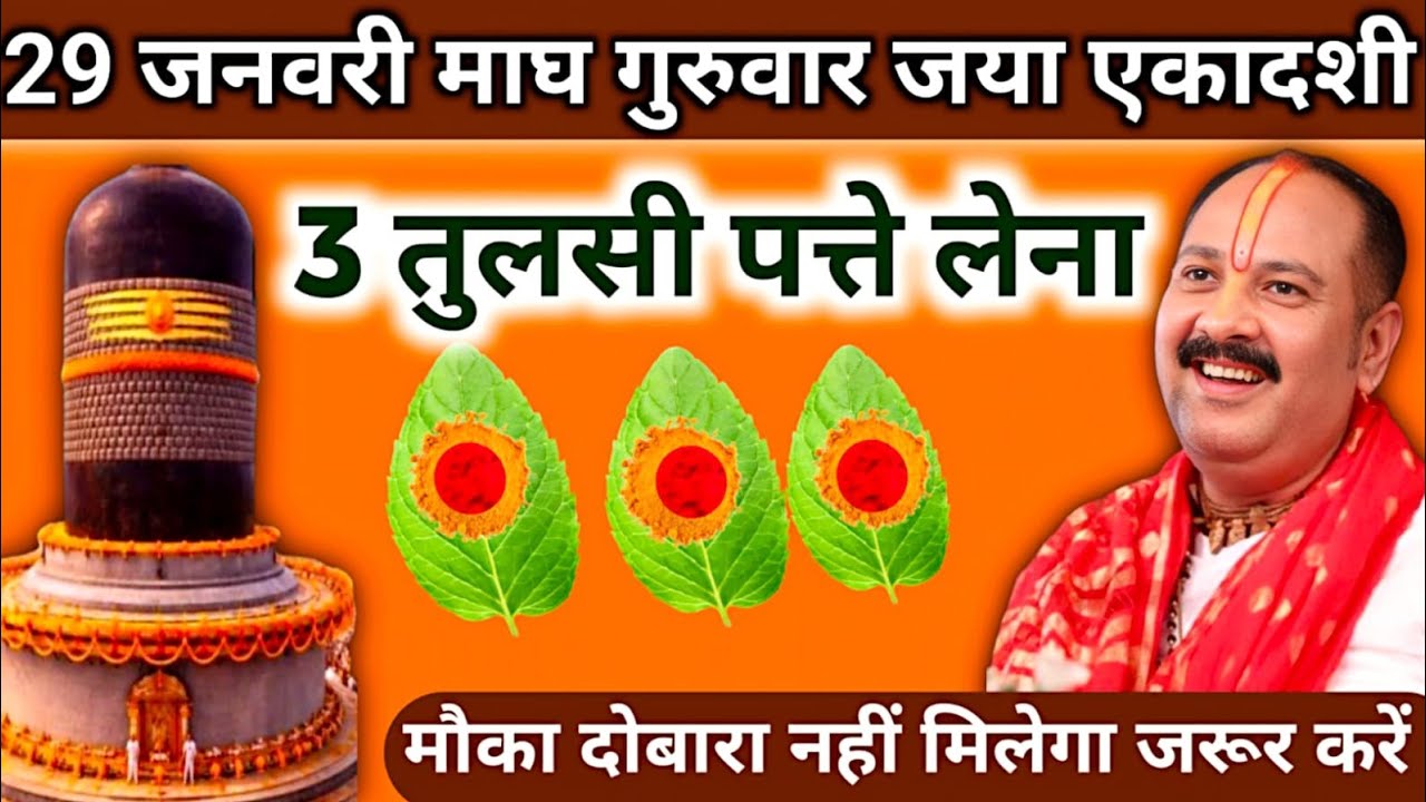 29 जनवरी माघ गुरुवार जया एकादशी के दिन 3 तुलसी पत्ते वाला उपाय जरुर करें|| pandit pradeep mishra||