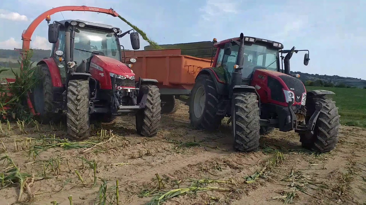 Ensilage de maïs,ensileuse 2 rangs kemper,,(silo taupinière)