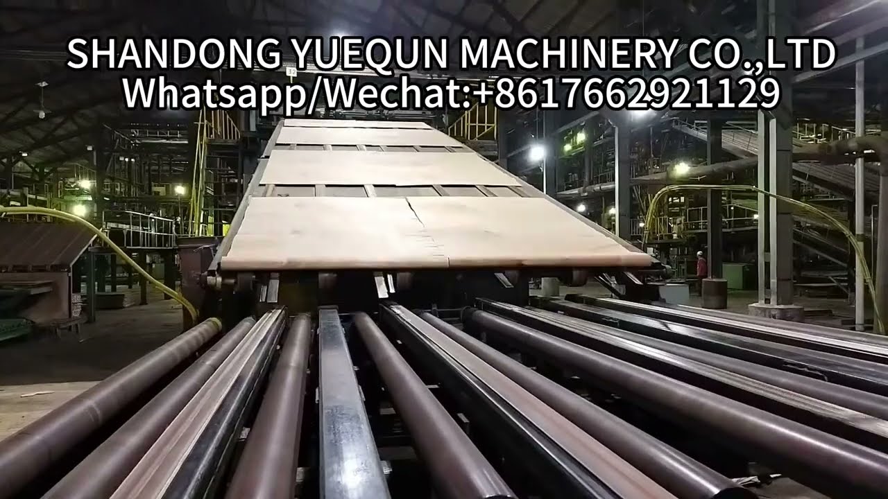 Plywood Roller Veneer Dryer Machine for Customer Factory。