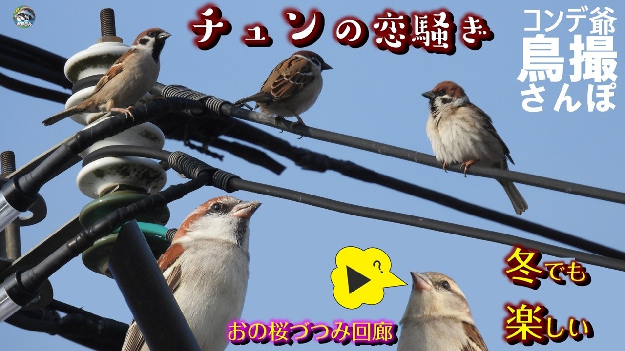 チュンの恋騒ぎ　シルエットクイズからの　北播磨のええとこ　おの桜づつみ回廊冬でも楽しい