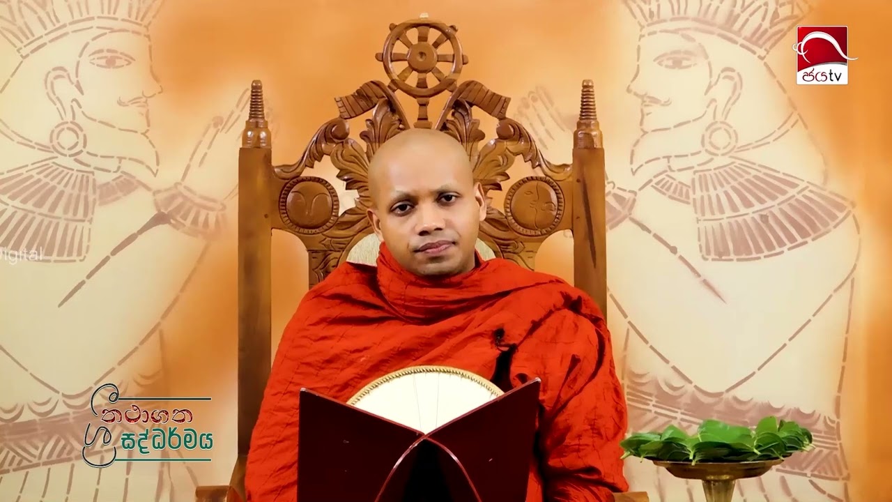 මේ රිදුම් දෙන ජීවිතයේ දුක හටගත්තේ කොහෙන්ද ? | පූජ්‍යපාද හසලක සීලවිමල ස්වාමීන් වහන්සේ | 2026.03.03