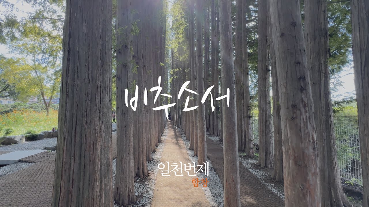 일천번제 합창 - 비추소서 (송년주일/송구영신예배/신년주일 찬양)