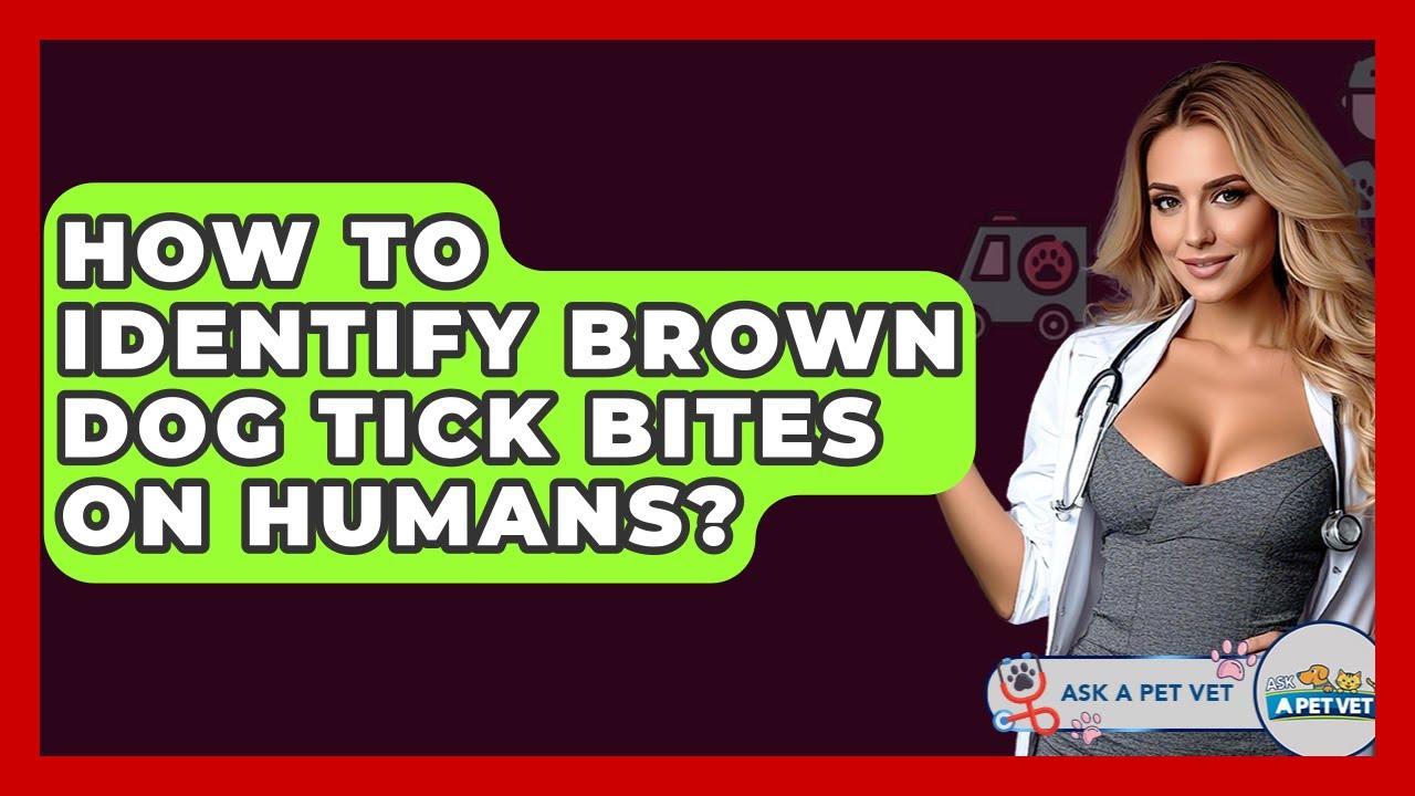 How To Identify Brown Dog Tick Bites On Humans? - Ask A Pet Vet