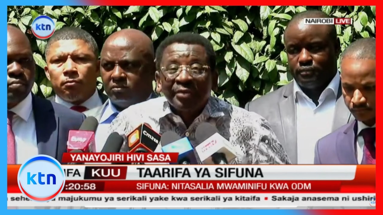 James Orengo: Masaibu ya ODM ni William Ruto