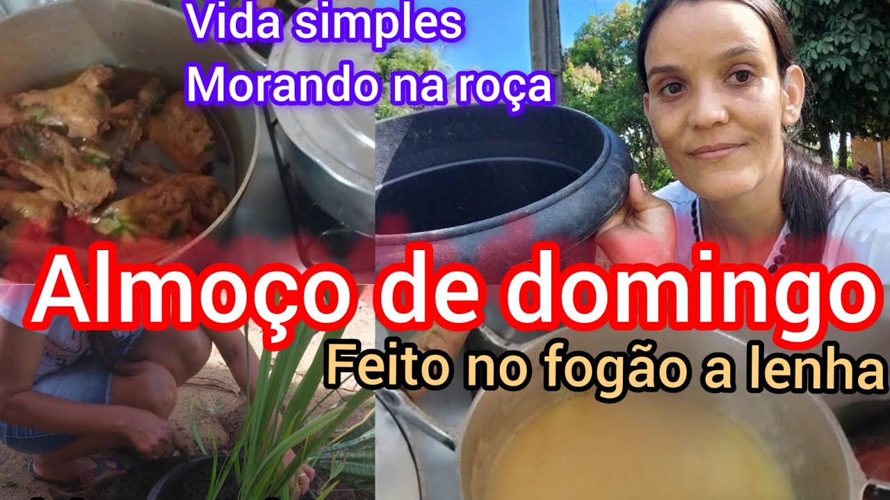 Vlog Almoço de domingo mais mudei umas plantinhas ♥️ vida simples morando na roça 🤗♥️