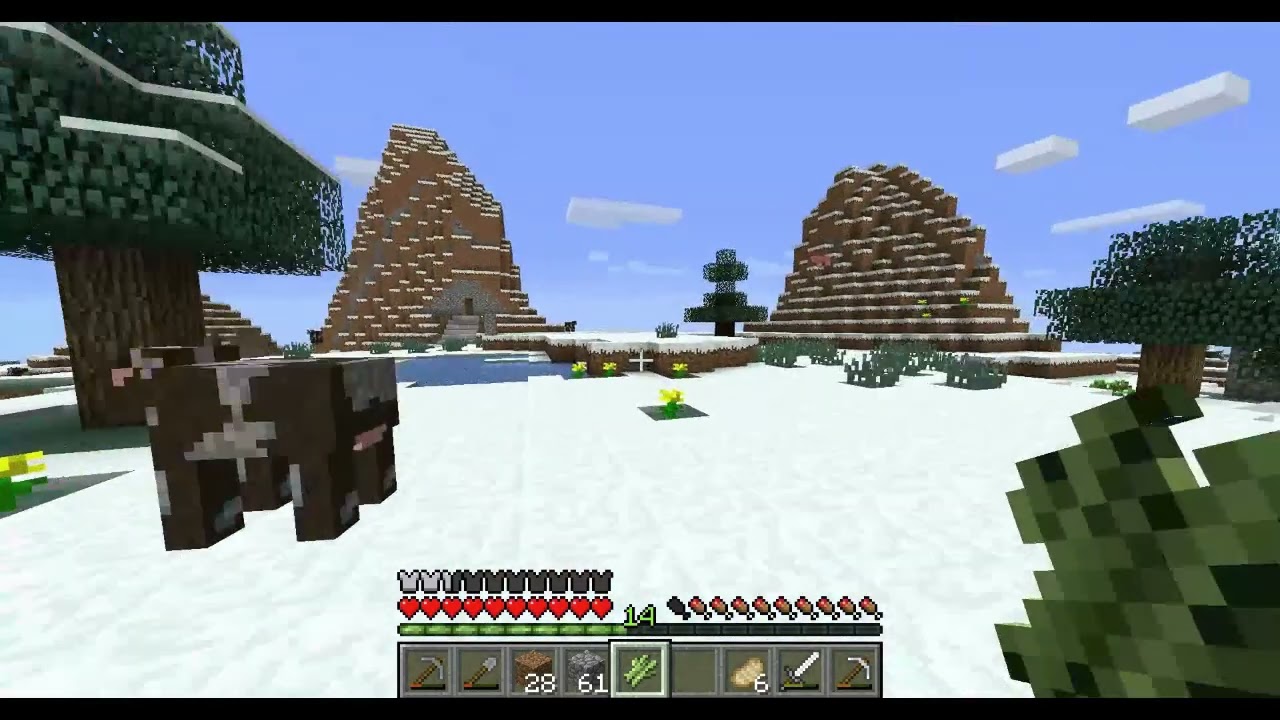 New World2