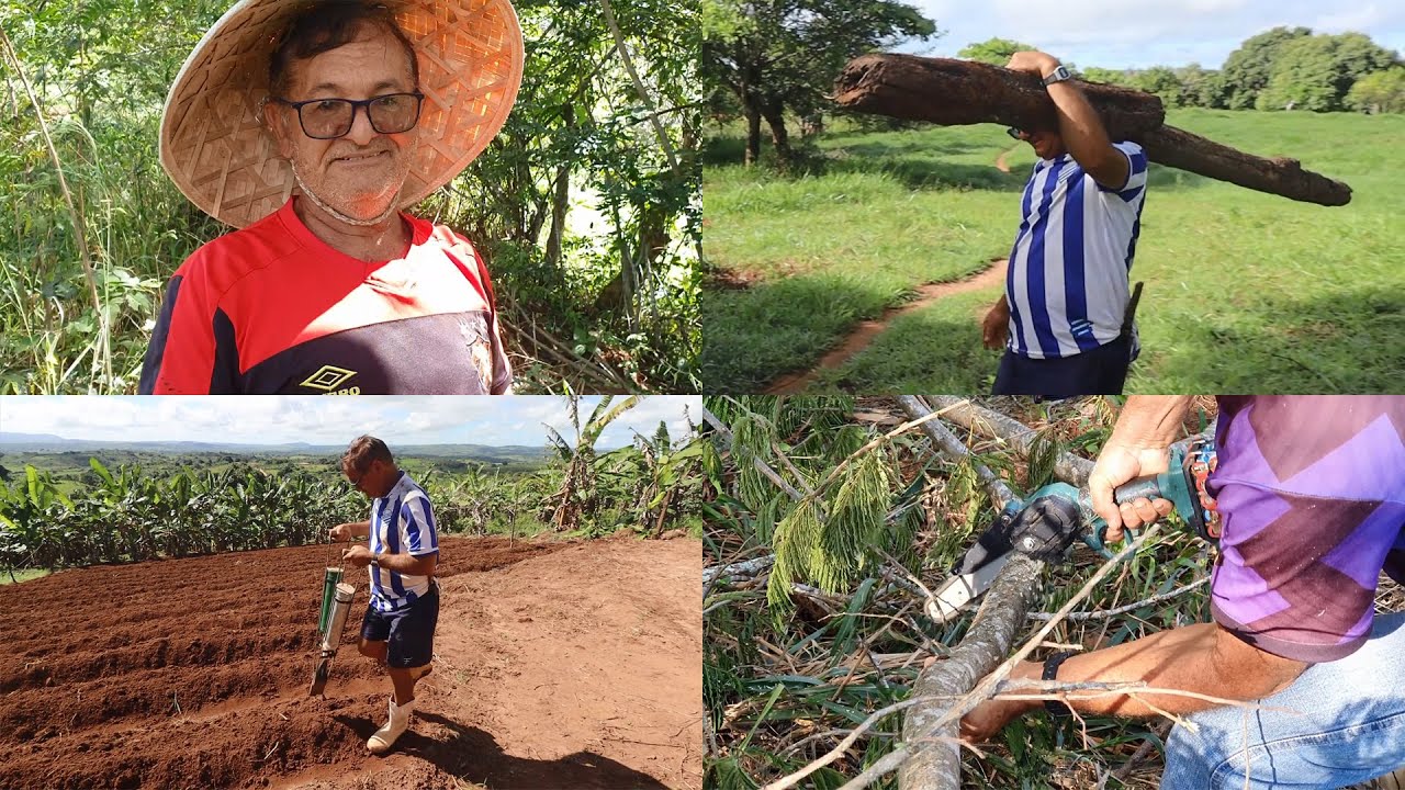LIMPANDO O ACEIRO DO TERRENO + MOSTRANDO A ROÇA DE MILHO + FAZENDO A CERCA