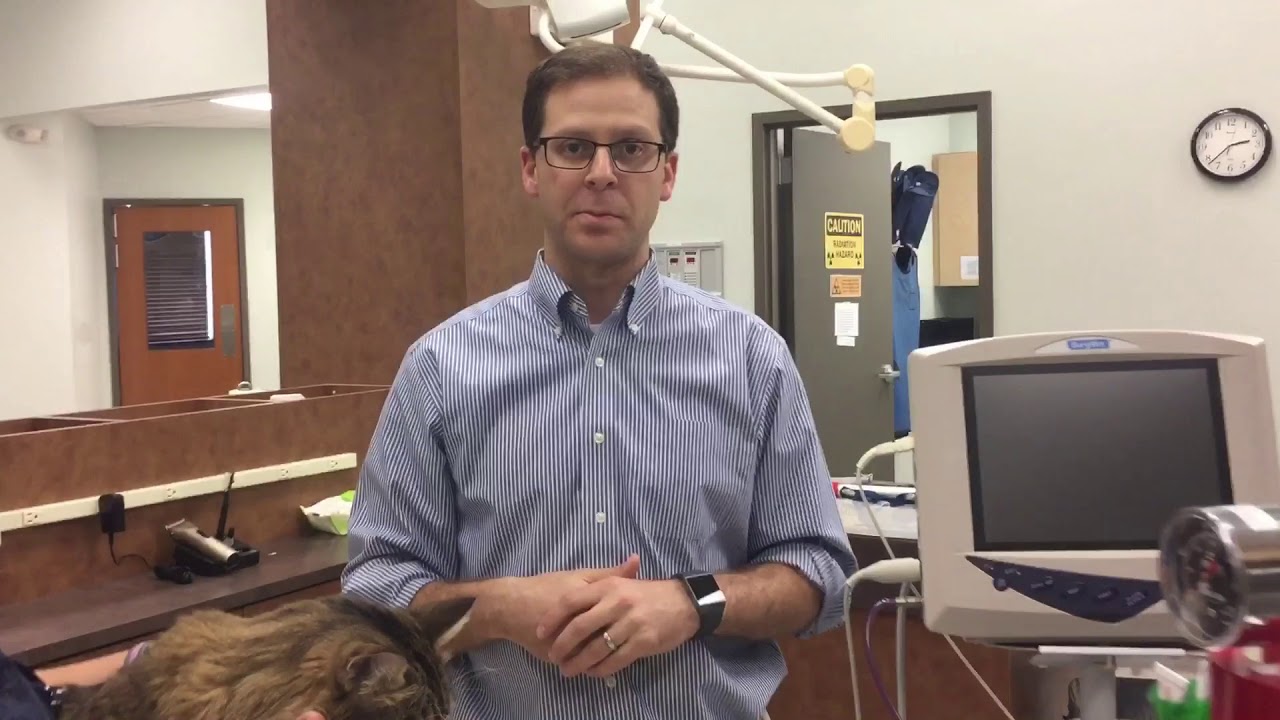 What to Expect: Surgery