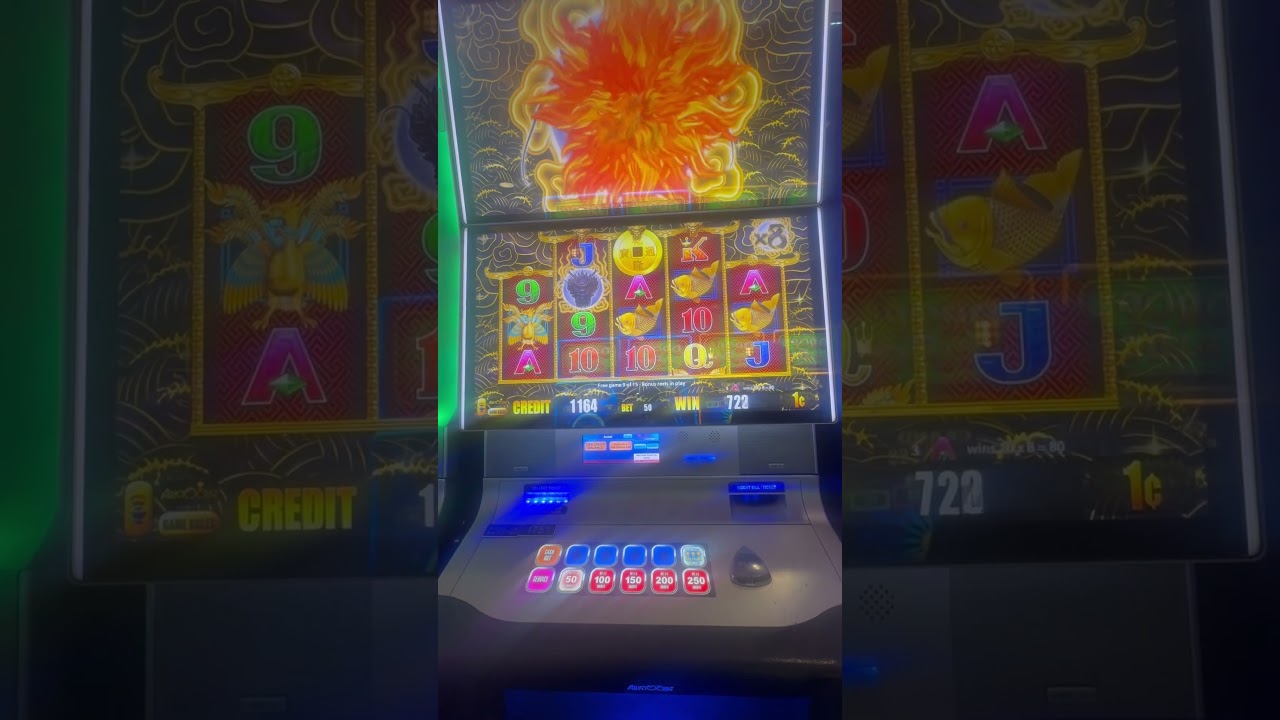 5 Dragons Bonus Video🐉🐦&zwj;🔥🦚 #slotmachinebonus #5dragonsbouns
