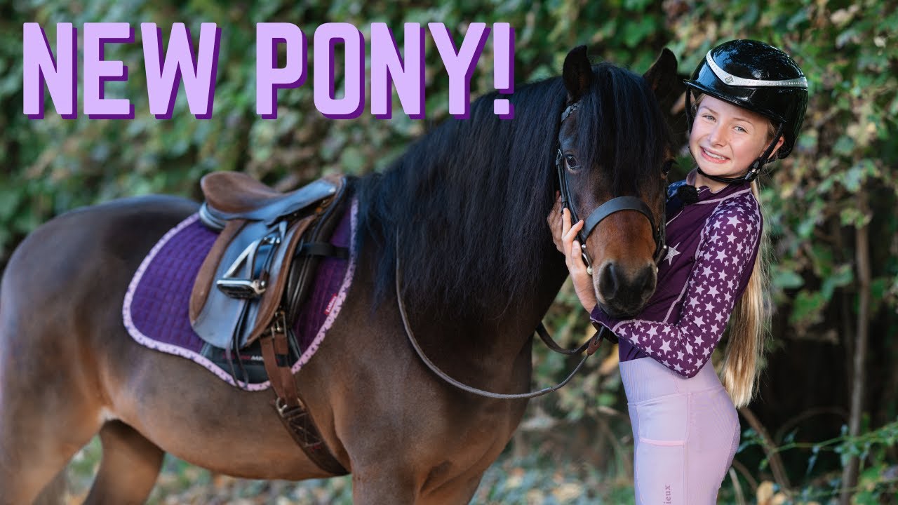 FIRST DAY WITH OUR NEW PONY!