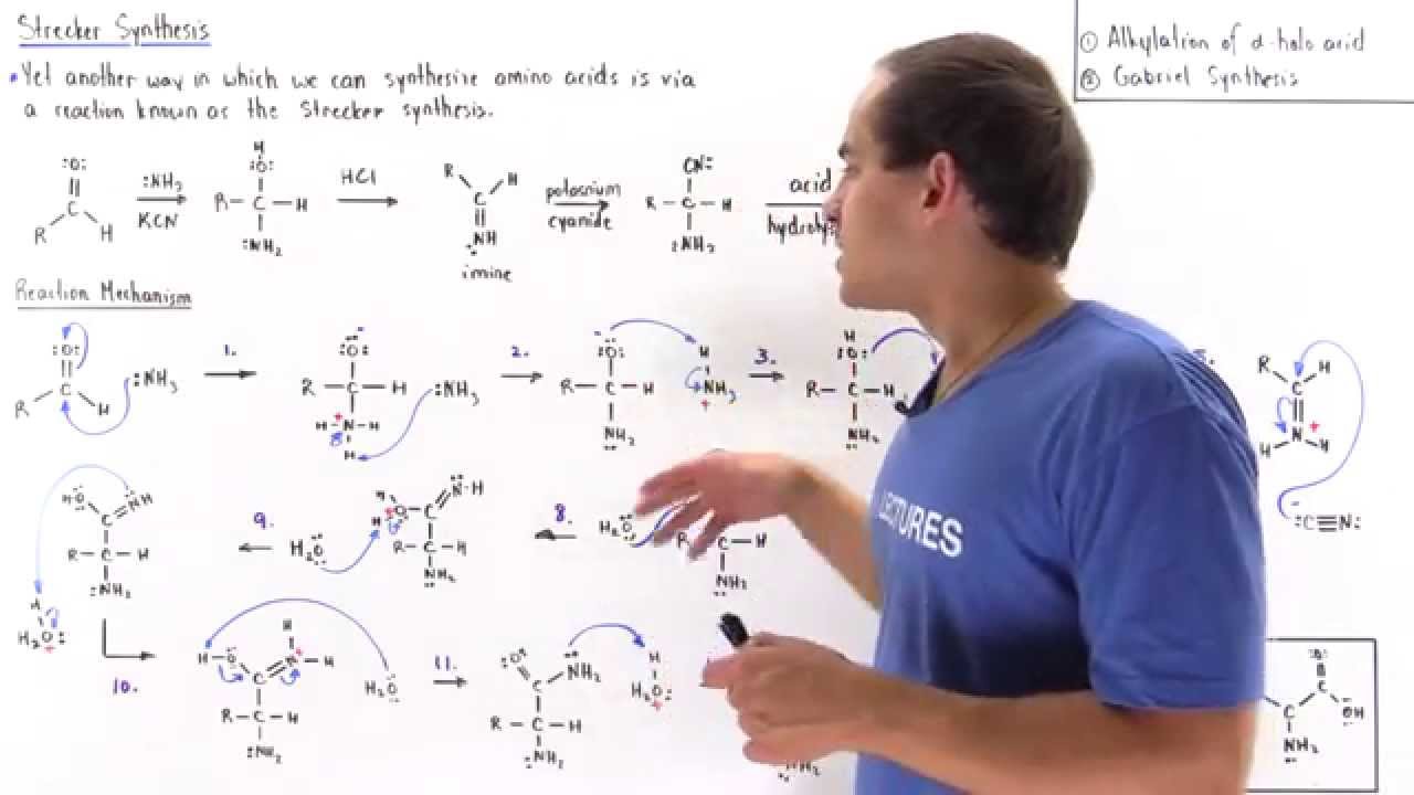 Strecker Synthesis