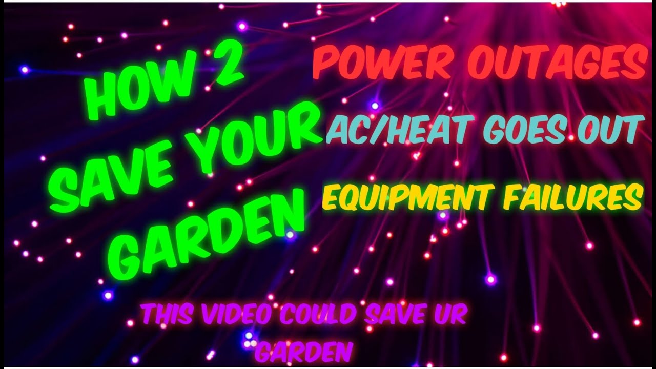 Emergency in the Grow Tent and How to Fix Them