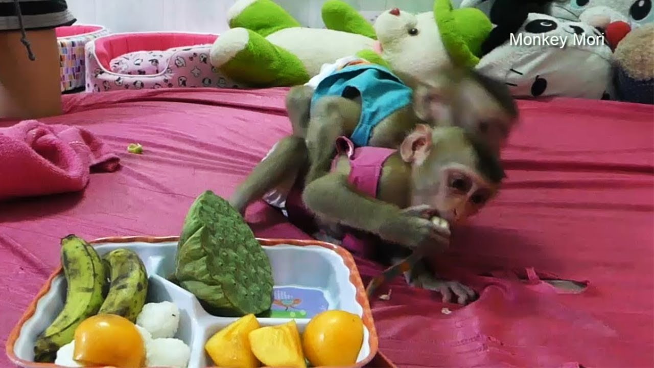 Amazing Baby Mori And Dodo Hugging So Sweet, They Play Very Happy