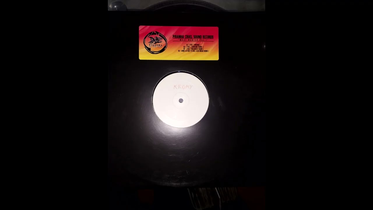 Dj Slash - I Feel