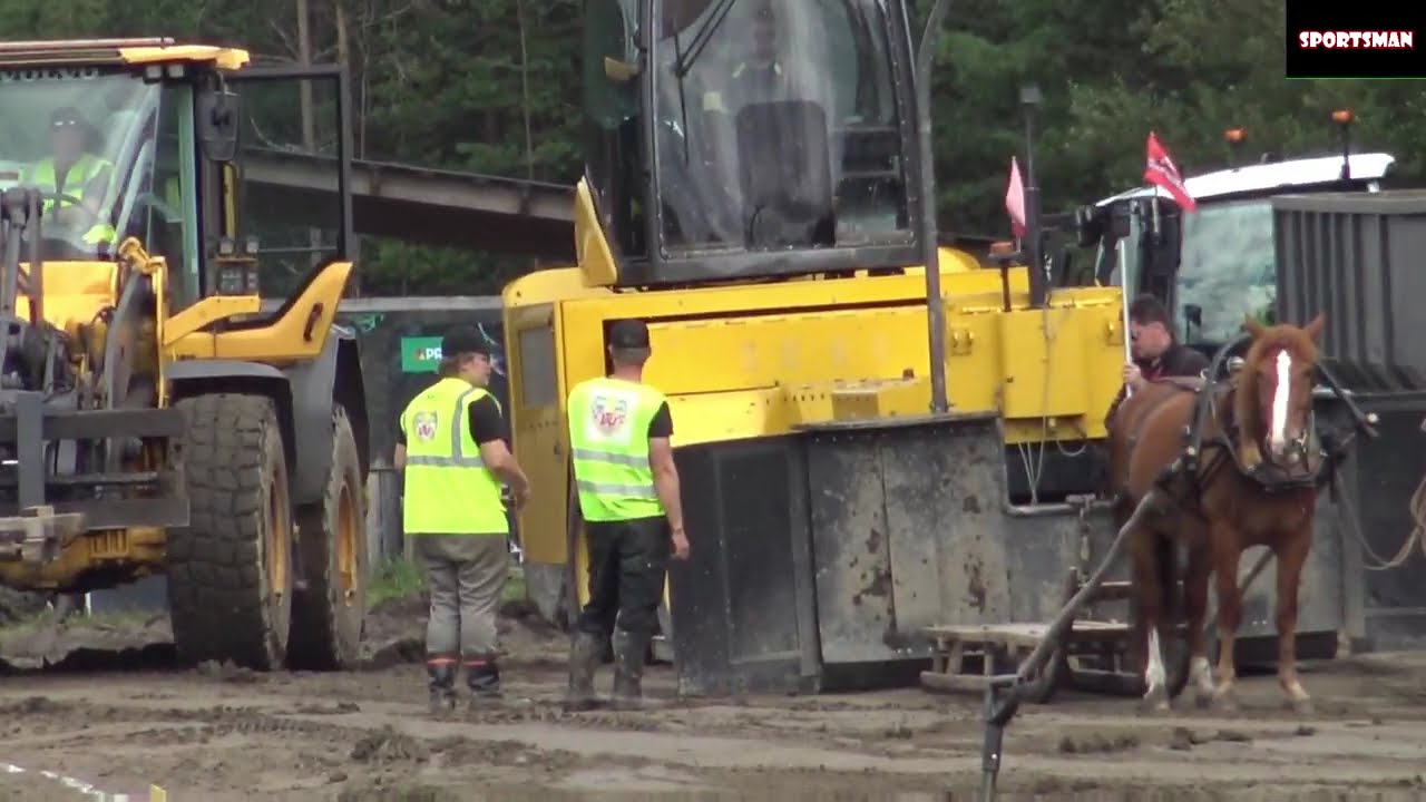 Mönkijä vs. hevonen Tractor pulling Tyrnävä 2024