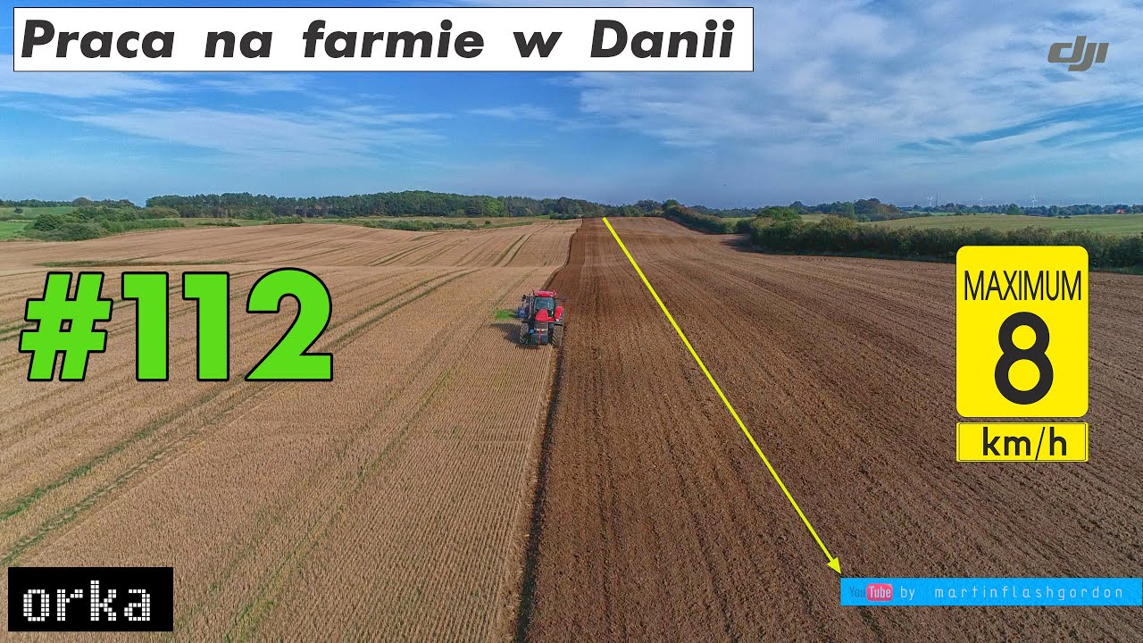 Praca na farmie w Danii #112 | Work on the farm in Denmark #112