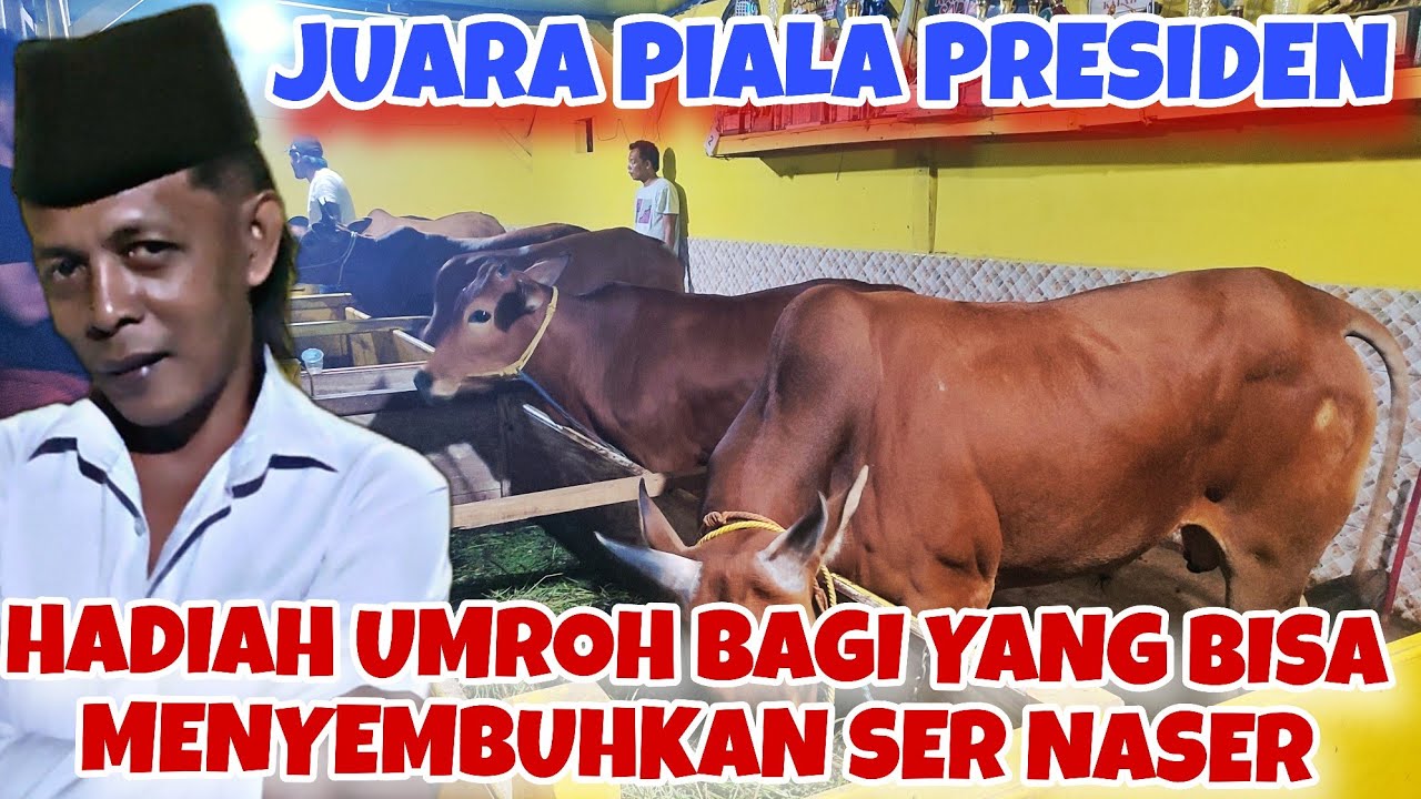 SER NASER MENUJU KERAPAN HUT DRT SUMENEP || SANG JUARA PIALA PRESIDEN 2024 DAN 2025
