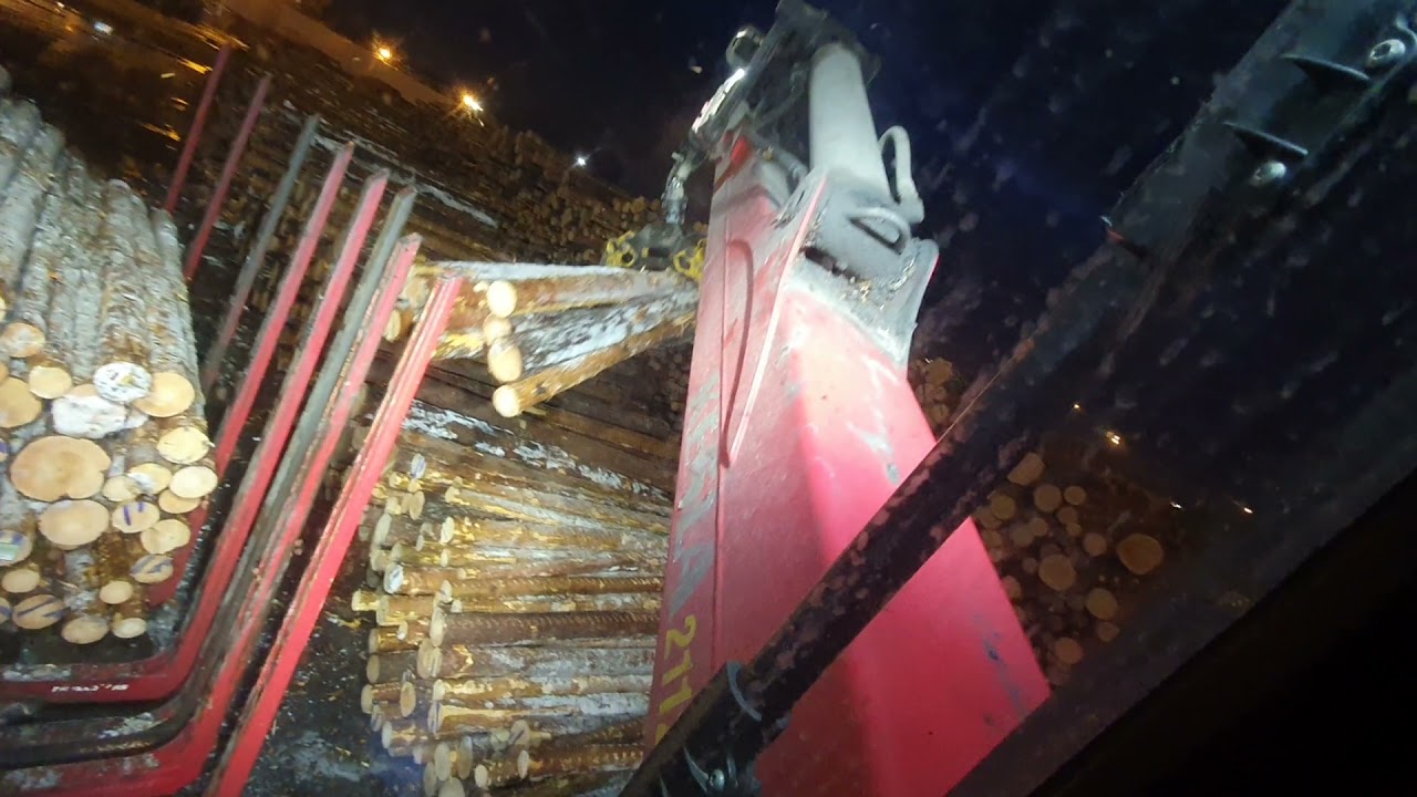 unloading pinewood logs and allways mistakes🥵😛🤪