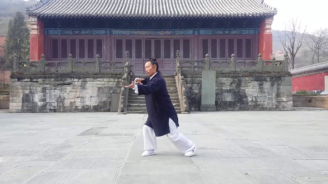Wudang Tai Chi Quan 13 by Master Zheng