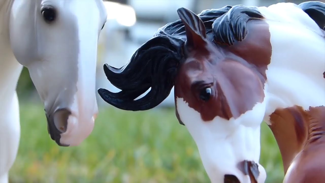 Breyer Horse Movie Alaska part 9